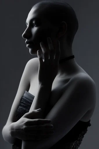 Minimalist Noir Chiaroscuro style reference image — desaturated cool tones
