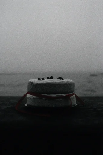 Redacted Coastal Noir style reference image — monochrome coastal landscape