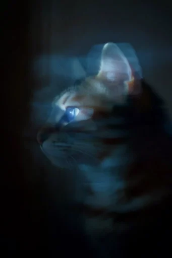 Spectral Cobalt Motion style reference image — ethereal spectral atmosphere