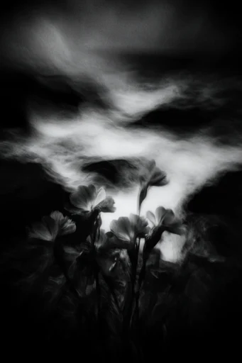 Monochrome Ethereal Tempest style reference image — moody atmospheric vignette