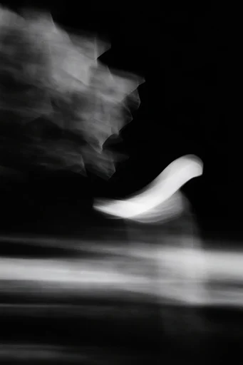 Kinetic Spectral Monochrome style reference image — motion blur portraiture