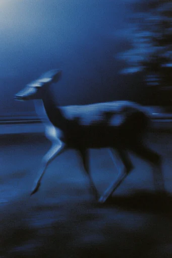 Nocturnal Liminal Decay style AI image example 3