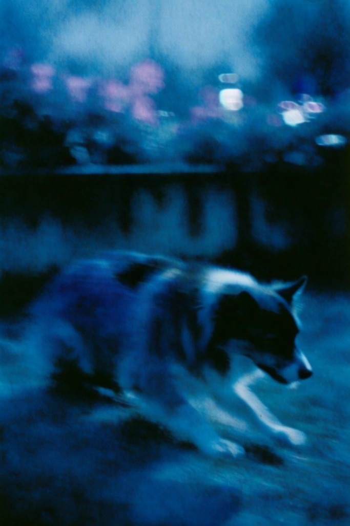 Nocturnal Cyanotype Melancholy style AI image example 3