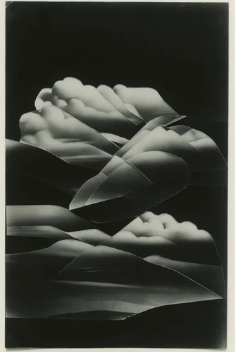 Monochrome Avant-Garde Noir style AI image example 2