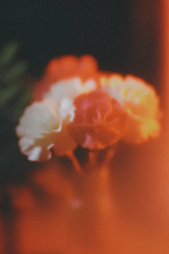 Radiant Analog Catastrophe style reference image — cinematic light bleed