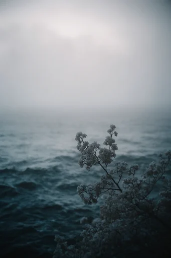 Sublime Nordic Noir style reference image — cinematic moody lighting