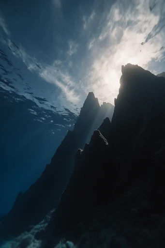 Luminous Abyssal Silhouette style reference image — underwater photography