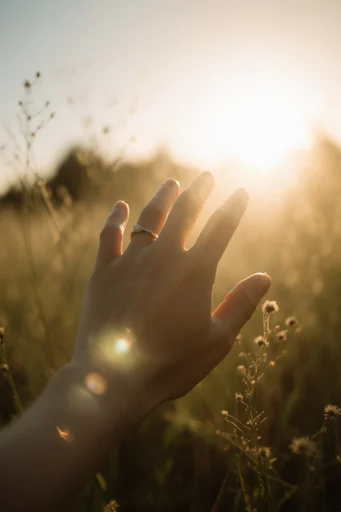 Ethereal Golden Nostalgia style reference image — heavy lens flare