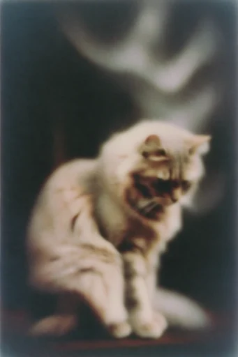 Ethereal Haptic Impressionism style reference image — diffused atmospheric lighting