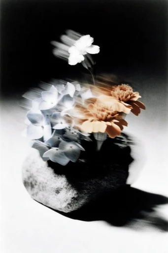 Kinetic Spectral Noir style reference image — psychological cinematic mood