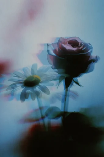 Spectral Motion Noir style reference image — chromatic aberration