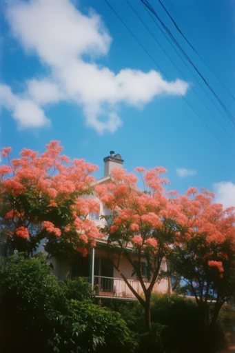 Retro Surrealist Bloom style reference image — sharp dramatic shadows