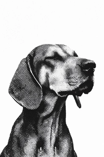 Gritty Halftone Noir style reference image — graphic black and white
