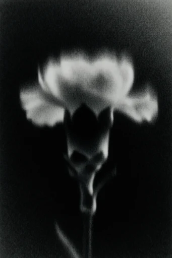 Spectral Nocturnal Grain style reference image — ethereal silhouettes