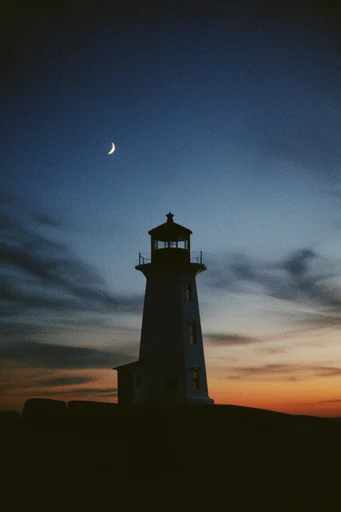 Nostalgic Twilight Silhouettes style reference image — dreamy motion blur