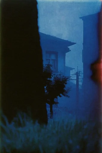 Cinematic Nocturnal Analog style reference image — analog film grain