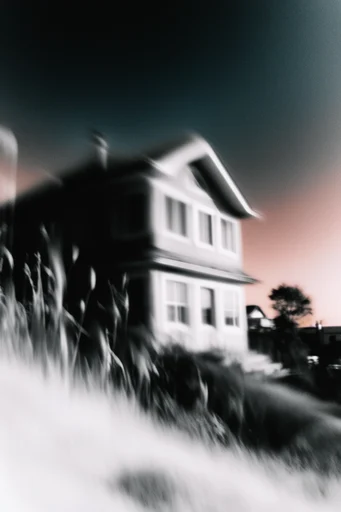 Cinematic Monochrome Surrealism style reference image — surreal double exposure