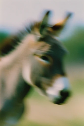 Ethereal Motion Impressionism style AI image example 3