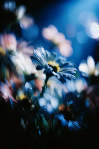 Spectral Nocturnal Motion style reference image — ethereal soft focus glow