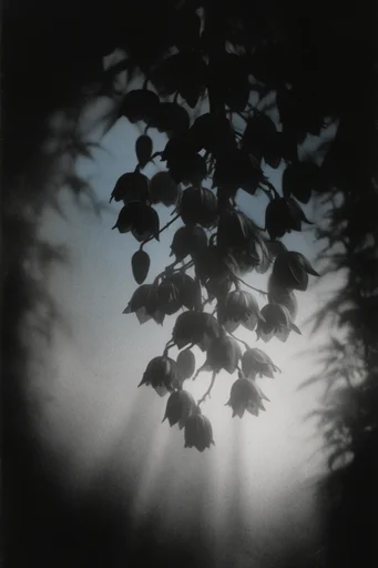 Atmospheric Noir Pictorialism style reference image — mysterious silhouette