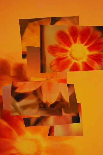 Fragmented Analog Collage style reference image — heavy film grain