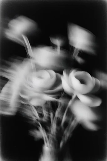 Ethereal Spectral Noir style reference image — dark atmospheric noir