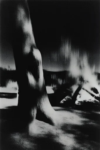 Submerged Noir Grain style AI image example 2