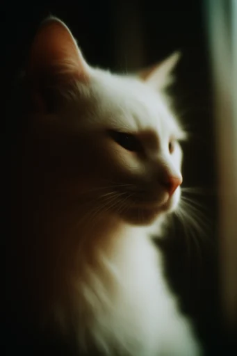 Ethereal Cinematic Intimacy style reference image — intimate portraiture