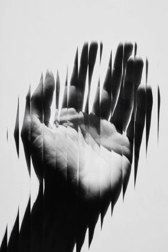 Monochrome Glitch Deconstruction style reference image — high-contrast studio lighting