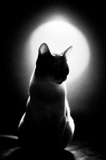 Luminous Noir Abstraction style reference image — minimalist noir composition