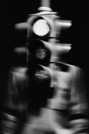 Cinematic Monochrome Noir style reference image — tactile photographic texture