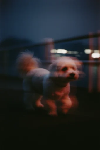Kinetic Nocturnal Amber style reference image — dreamlike bokeh