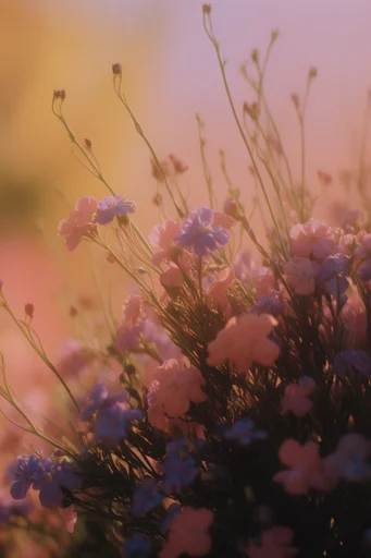 Ethereal Iridescent Nostalgia style reference image — dreamy nostalgic atmosphere