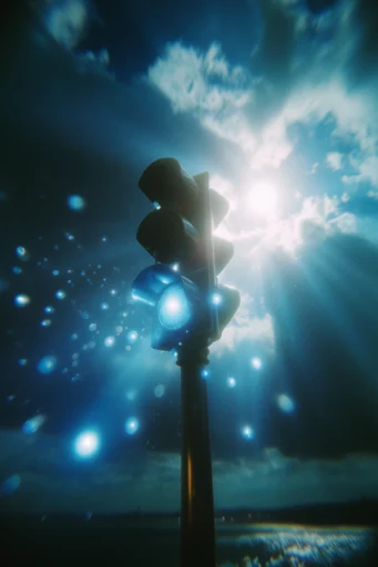 Luminous Nocturnal Ethereality style reference image — bioluminescent glow