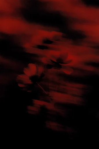 Spectral Thermal Noir style reference image — vertical light smear