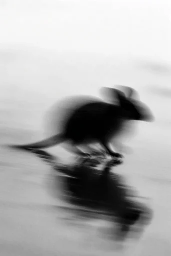 Ethereal Monochrome Motion style reference image — heavy analog film grain