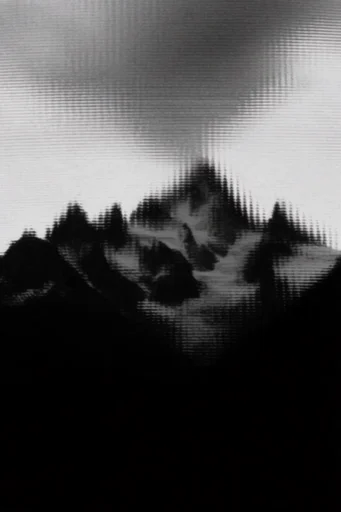 Analog Glitch Noir style reference image — high-contrast monochrome