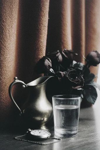 Raw Noir Atmospheric style reference image — heavy analog film grain