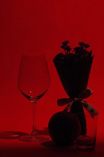 Crimson Silhouette Noir style reference image — stark silhouette