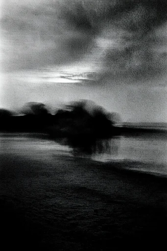 Spectral Monochrome Noir style reference image — wet plate collodion