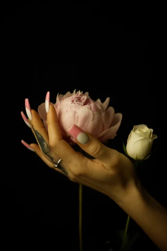 Minimalist Botanical Chiaroscuro style reference image — minimalist botanical composition