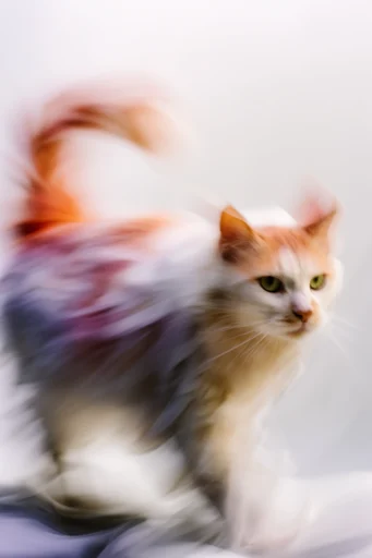 Kinetic Ethereal Motion style reference image — dreamlike editorial