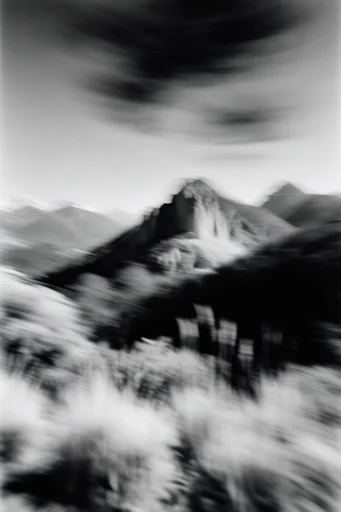 Kinetic Spectral Monochrome style reference image — intentional camera movement