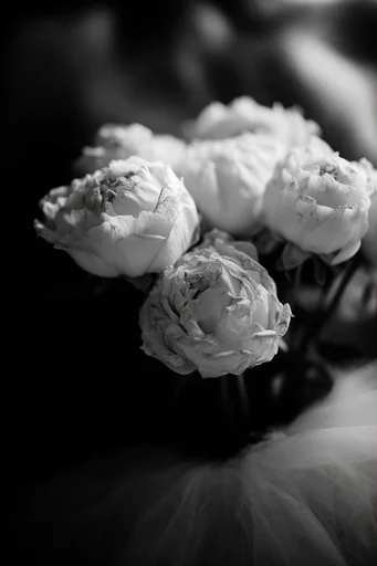 Cinematic Chiaroscuro Noir style reference image — minimalist negative space