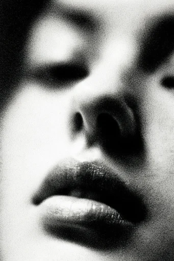 Gritty Monochromatic Noir style reference image — soft-focus blur