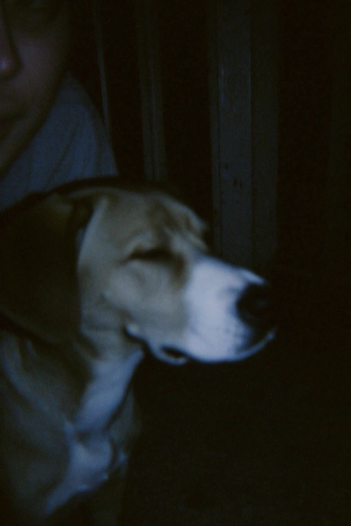 Moody Analog Noir style AI image example 3