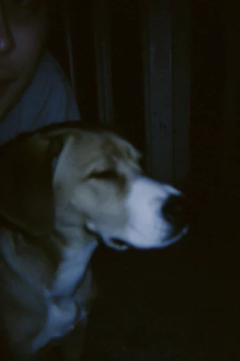 Moody Analog Noir style reference image — soft focus blur