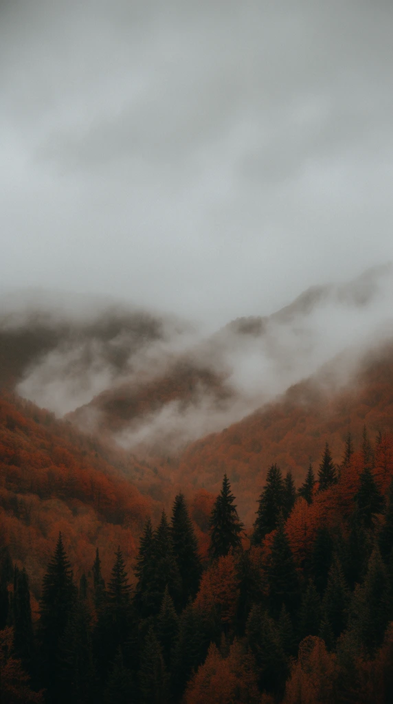 atmospheric autumn landscape, vast overcast grey sky, thick low-hanging fog rolling over sloping hills, dense forest in the lower foreground, dark green conifers mixed with deep rust orange trees, rich earthy tones, high negative space, moody cinematic composition, subtle film grain, soft diffused lighting