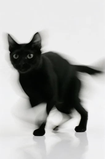 Kinetic Ghost Minimalism style reference image — intentional camera movement
