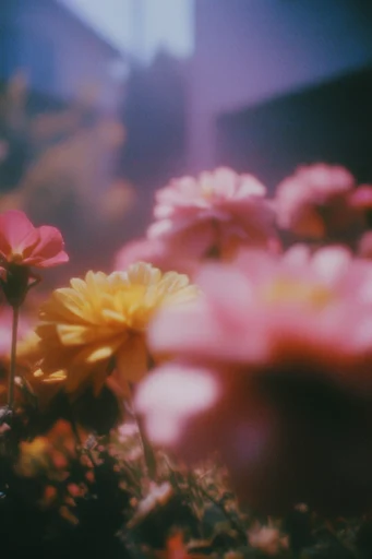 Ethereal Cinematic Nostalgia style reference image — painterly bokeh